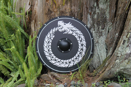The Evolution of Viking Shields: A Journey Through Time
