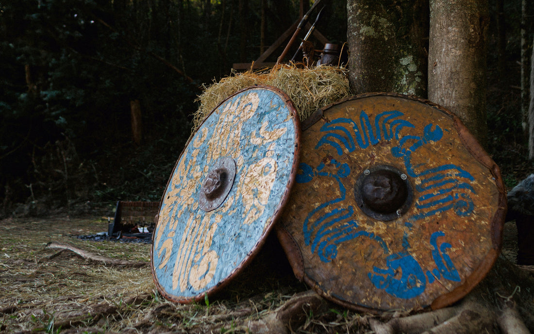 What Do The Patterns On Viking Shields Truly Symbolize?