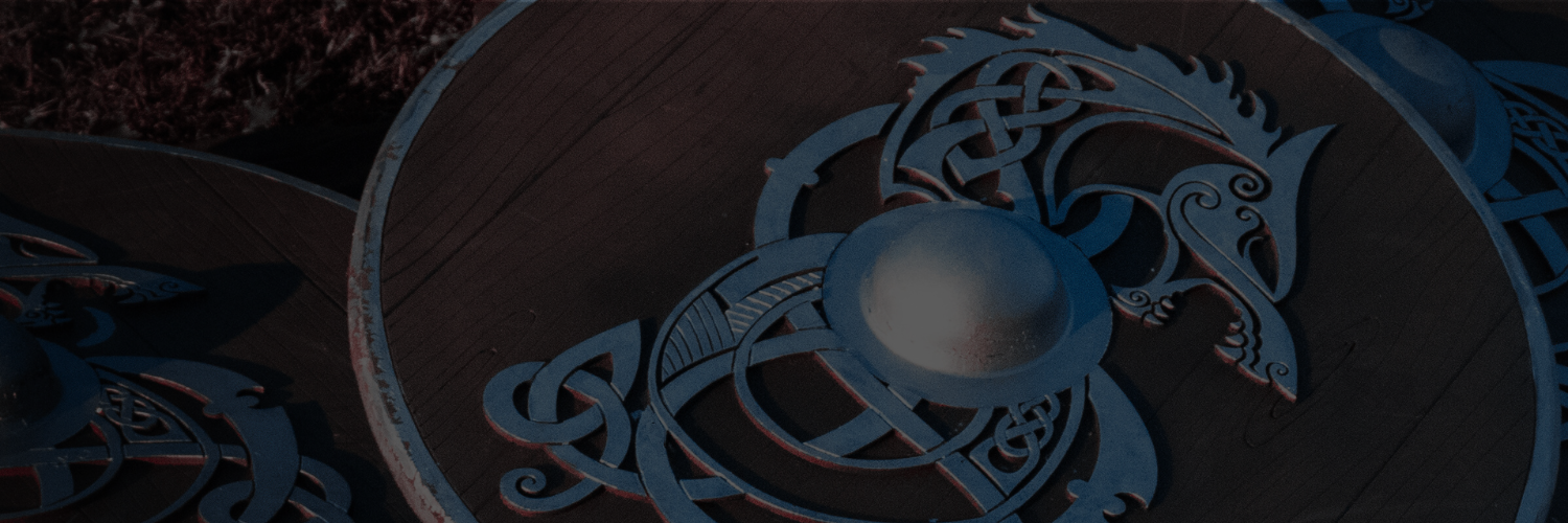 drakka viking shields